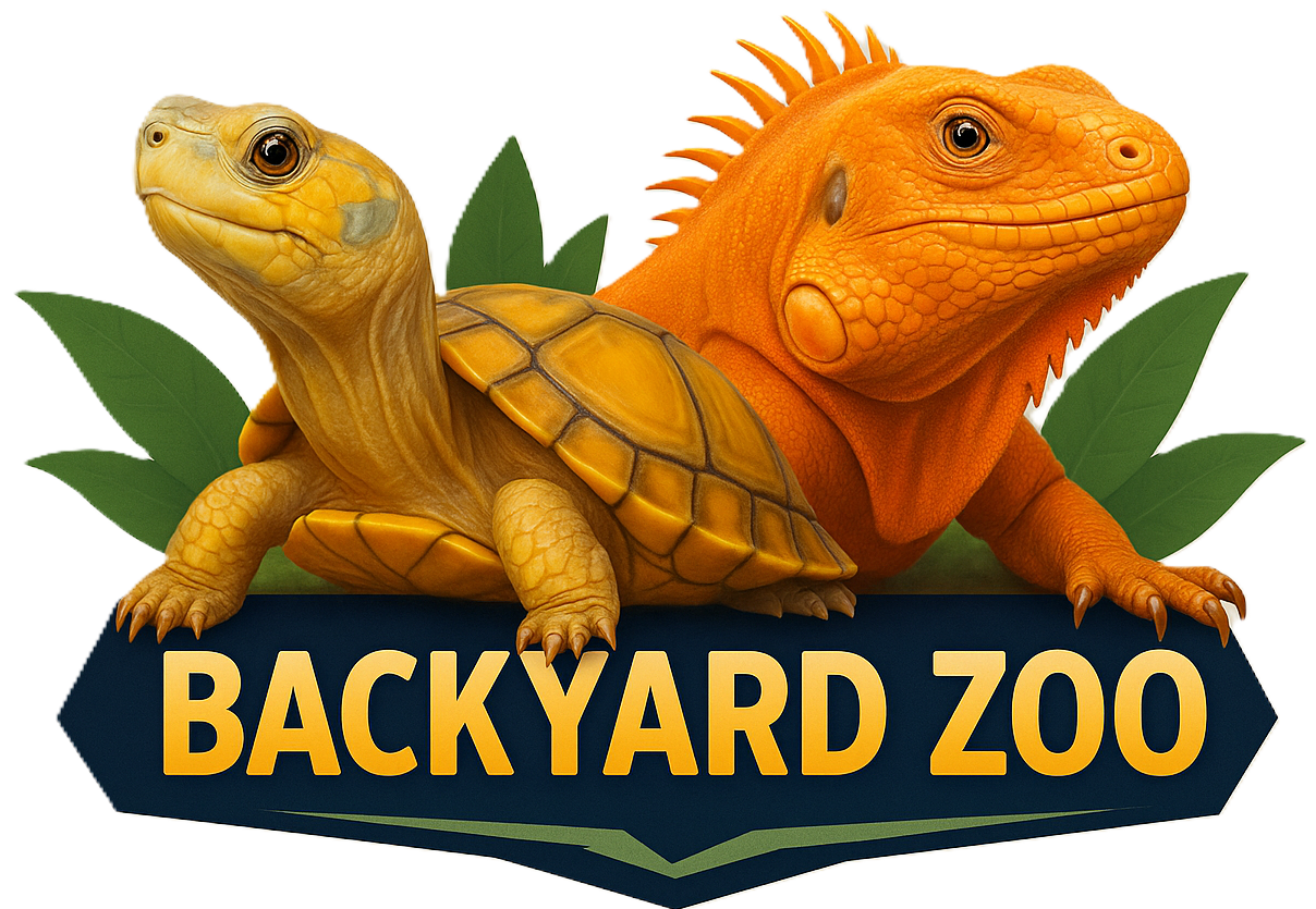 Backyard Zoo LLC